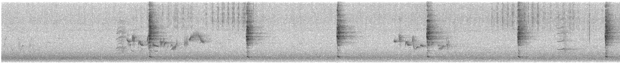 Ring-necked Pheasant - ML350161681
