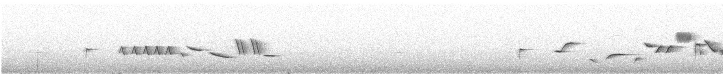 Пестрогрудая овсянка [группа schistacea] - ML350185941