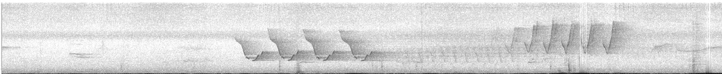 Каролинский крапивник - ML350196321