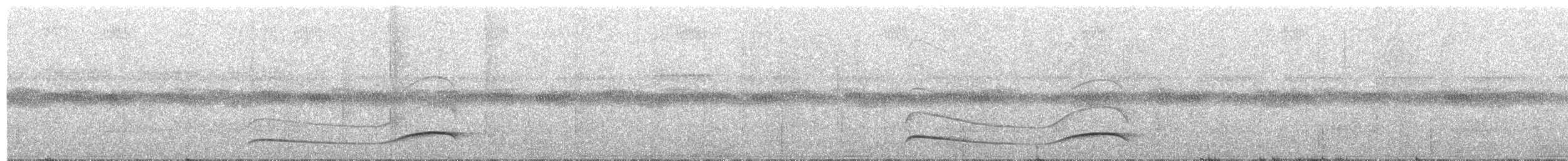 Тиран-плоскодзьоб темнохвостий - ML350224131