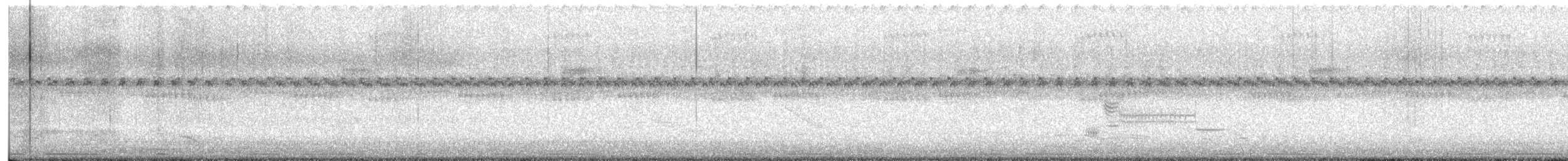 Eurasian Collared-Dove - ML350234481