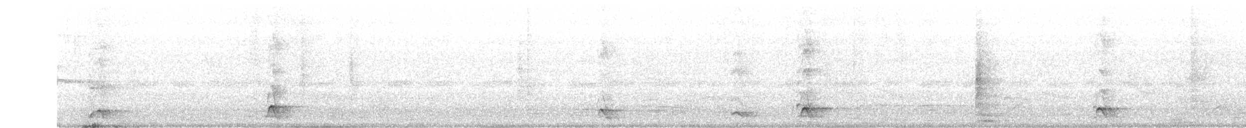 White-throated Magpie-Jay - ML350279261