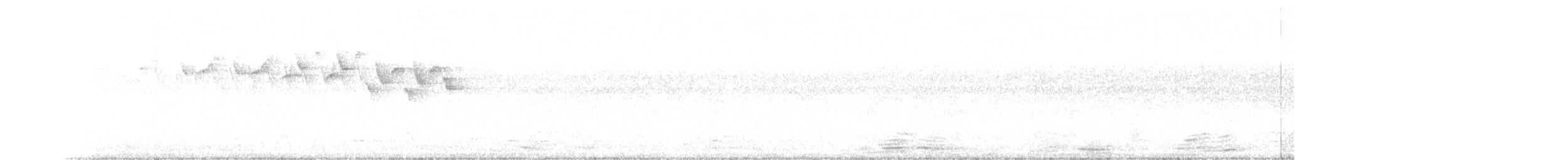 lesňáček černobílý - ML350299801