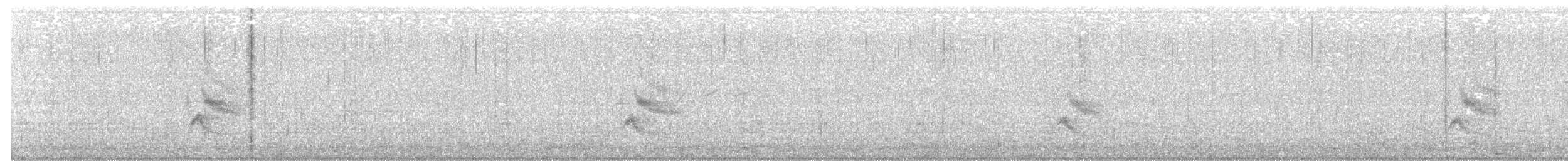 Дрізд-короткодзьоб малий - ML350299831