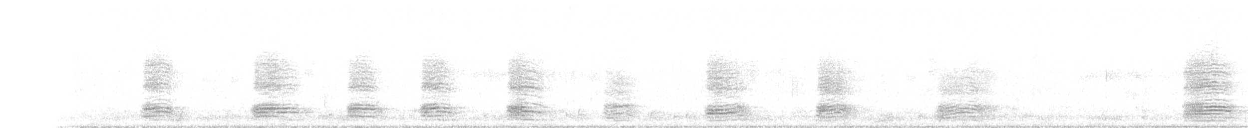 Cuervo Americano - ML350301071