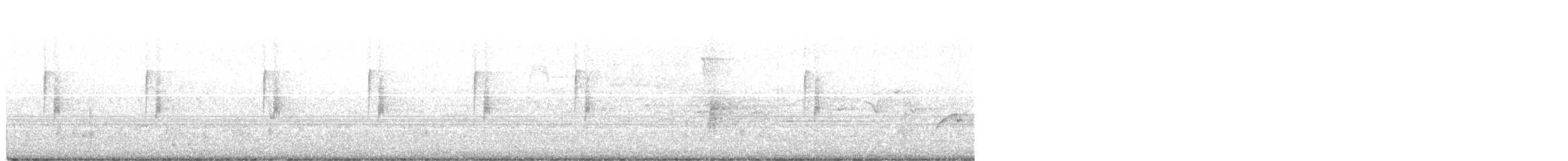 Moucherolle tchébec - ML350311521