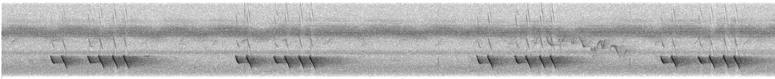 Allotrie siamoise (annamensis) - ML350362341