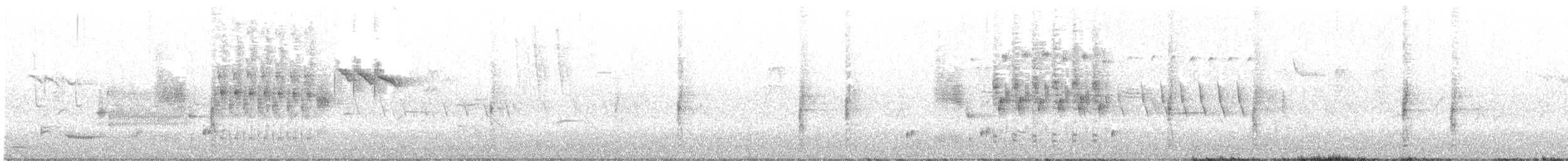 Troglodyte des marais - ML350369131