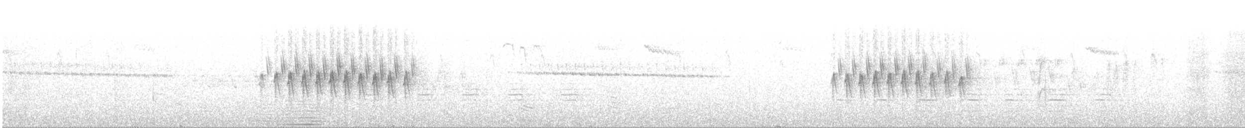 Юнко сірий [група oreganus] - ML350372431