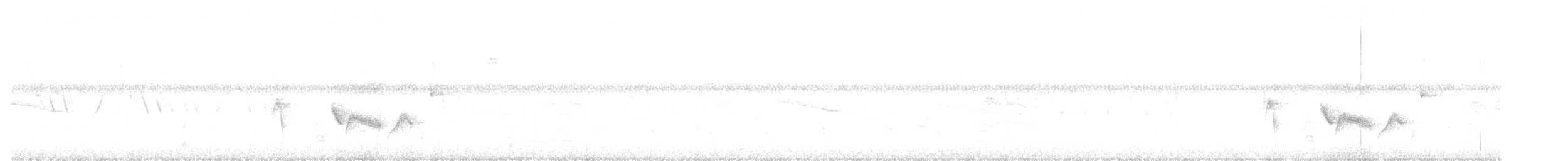 Vireo Ojiblanco - ML350391611