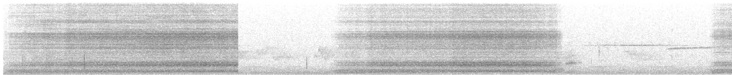 Aura Gallipavo - ML350395401