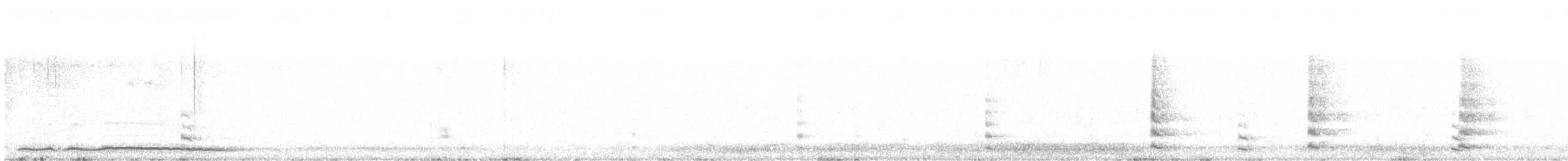 Chouette hulotte - ML350414481