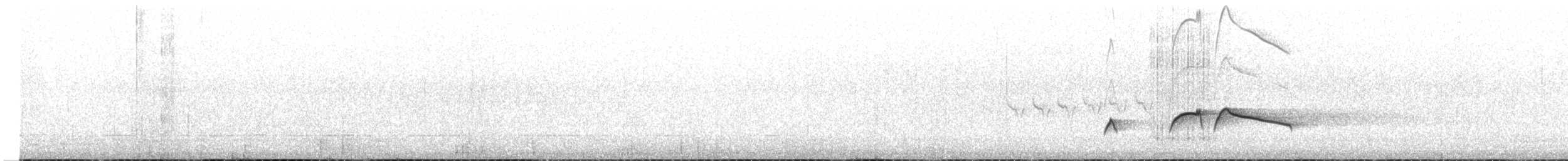 Оливковобокий пиви - ML350448561