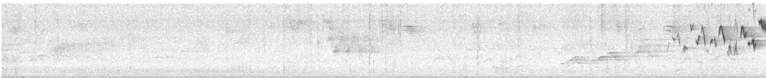 Troglodyte de Baird - ML350489261