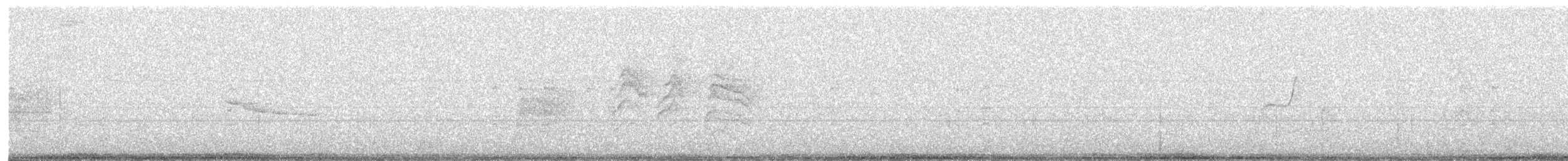 Weißbrustkleiber - ML350547611