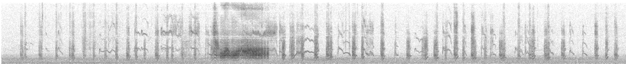 Pomatostome bridé - ML350557431