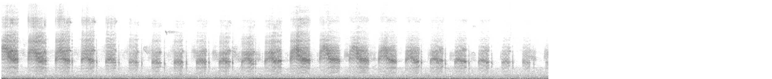 Sütbeyaz Sumru (candida/leucopes) - ML350579861