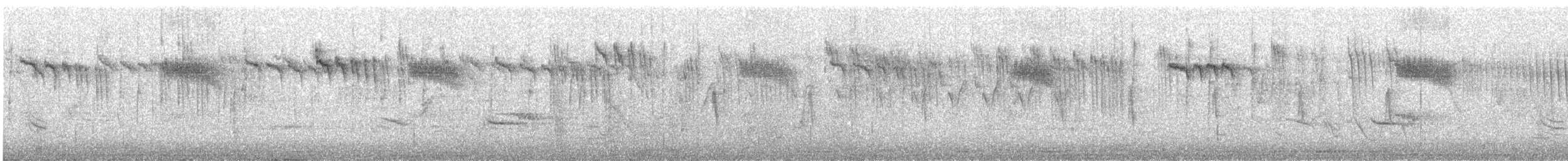 Orite à gorge blanche - ML350600411