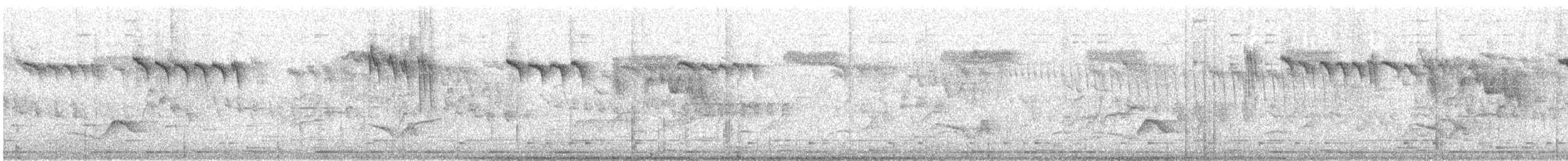 Orite à gorge blanche - ML350600671