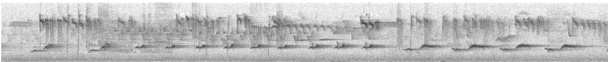 Orite à gorge blanche - ML350601811