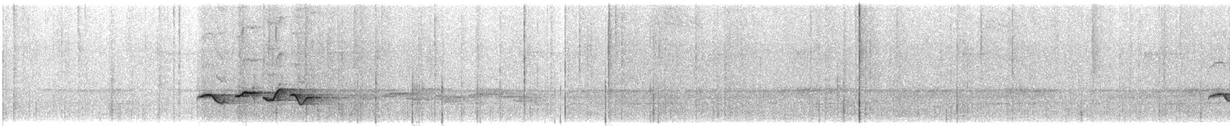 Rotband-Zweigdrossling - ML350604121