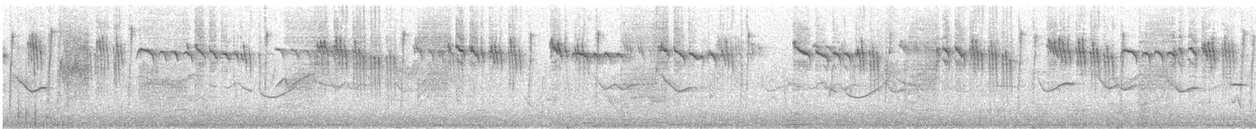 Orite à gorge blanche - ML350604661