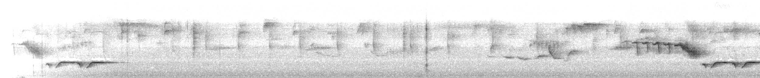 Белогрудый крапивник [группа prostheleuca] - ML350616211