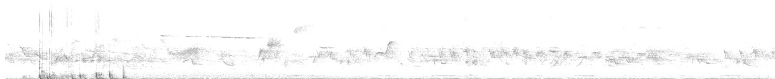 Western Flycatcher (Pacific-slope) - ML350619901