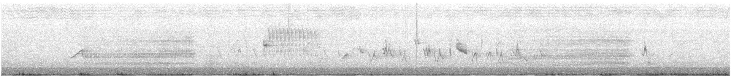 White-tailed Kite - ML350641741