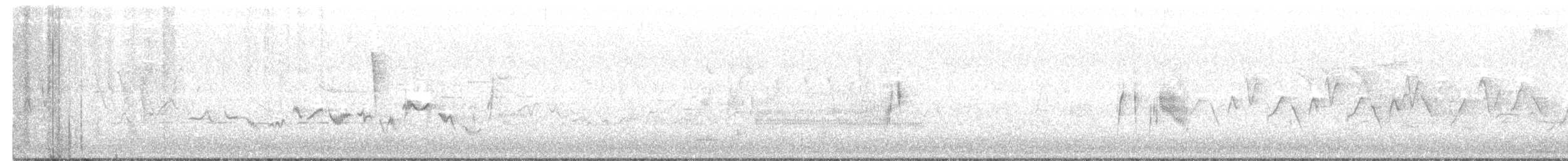 Song Sparrow (melodia/atlantica) - ML350661021