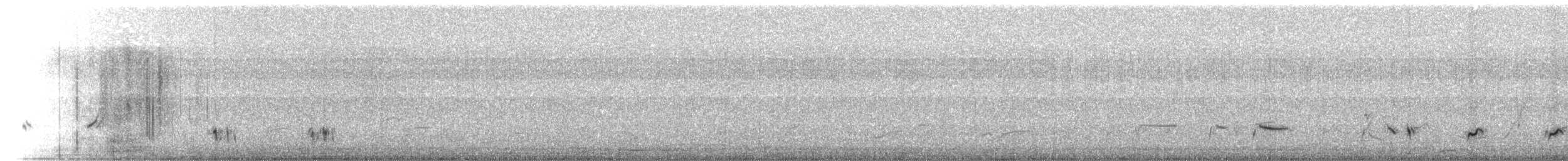 Cuitlacoche Pálido (lecontei/macmillanorum) - ML350691181