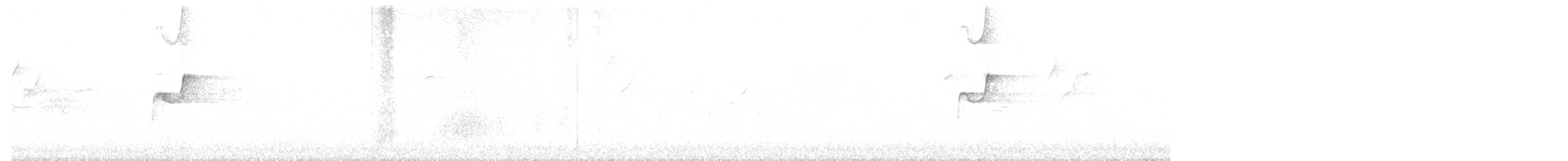 Western Flycatcher (Pacific-slope) - ML350762601