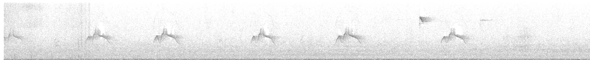 Патагонский мухолов - ML350783681