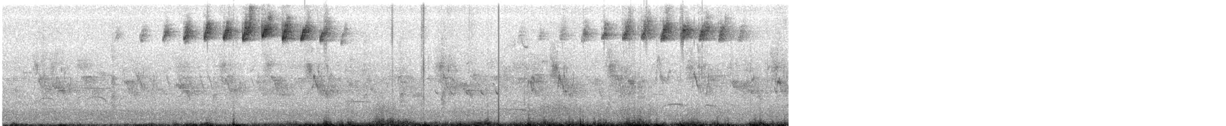 Blackpoll Warbler - ML350795011