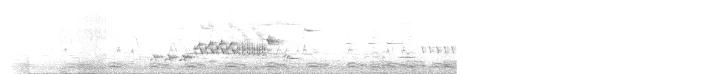 gråbrynspurv - ML350821471