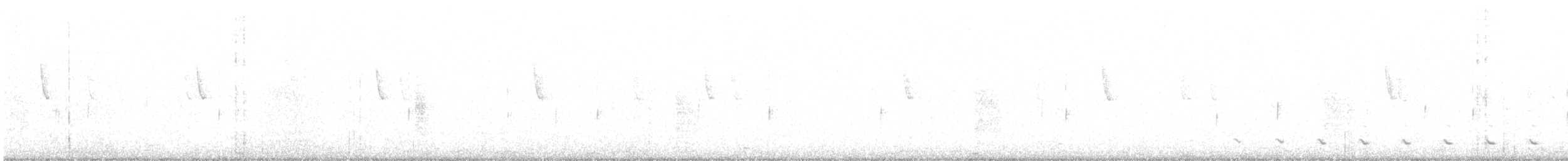 Chevêchette australe - ML350845071