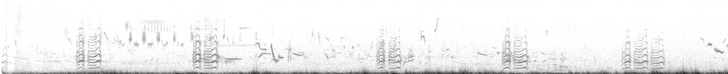 Пятнистый веретенник - ML350855231