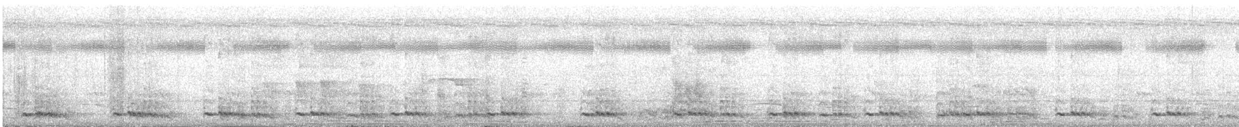 White-cheeked Barbet - ML350899731