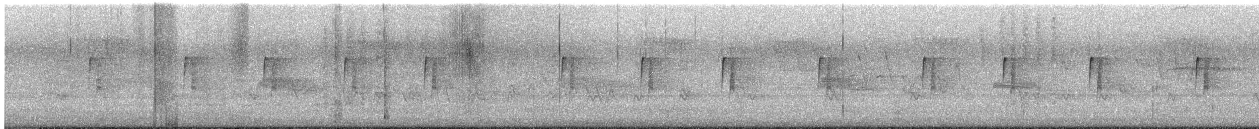 Moucherolle tchébec - ML350914741