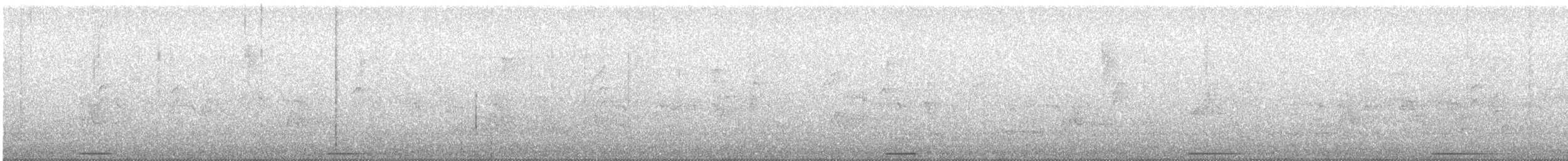 holoubek šedomodrý - ML350935211
