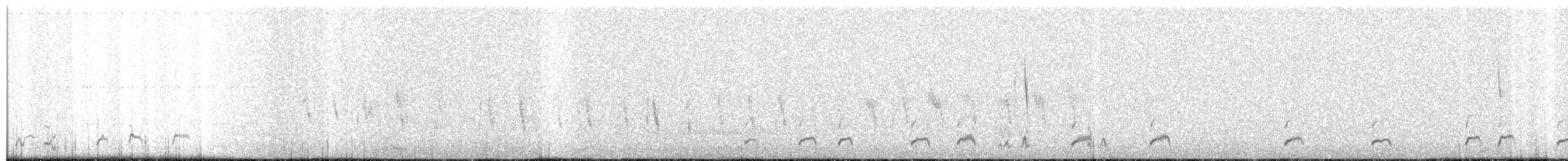 Rufous-bellied Seedsnipe - ML350968481