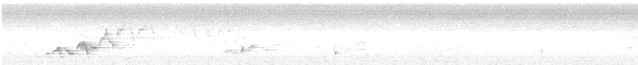 Дрізд-короткодзьоб Cвенсона - ML350969591