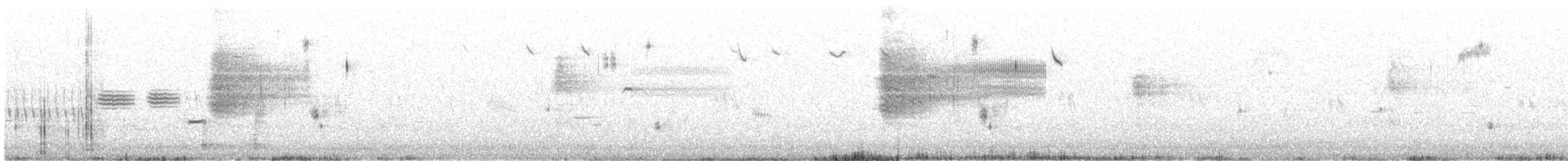 Канадская овсянка-барсучок (subvirgata) - ML351104291