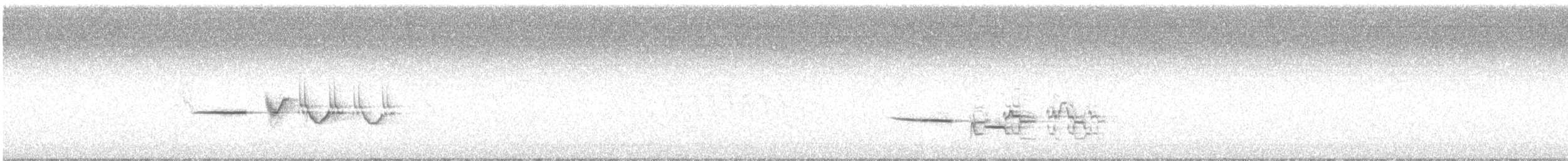 Münzevi Bülbül Ardıcı [auduboni grubu] - ML351111961