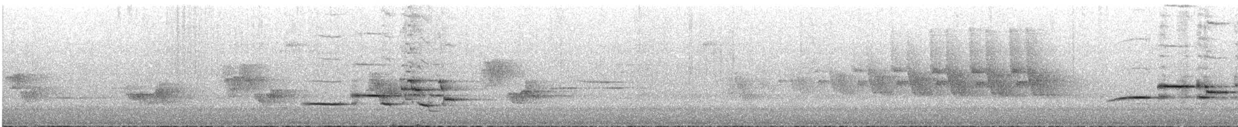Münzevi Bülbül Ardıcı - ML351154121