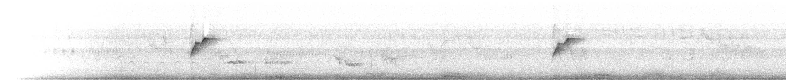 Batı Amerika Sinekkapanı (occidentalis/hellmayri) - ML351195921