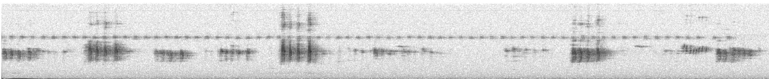Antillennachtschwalbe - ML351202261