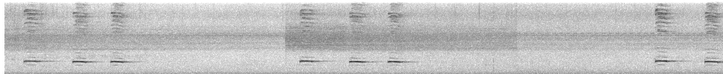 Black-faced Antthrush - ML351208751