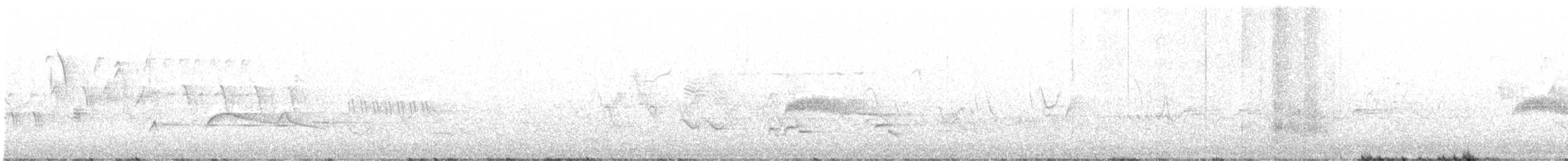 Olivflanken-Schnäppertyrann - ML351212681