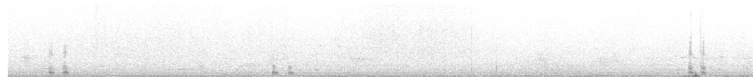 Büyük Kara Sırtlı Martı - ML351213101